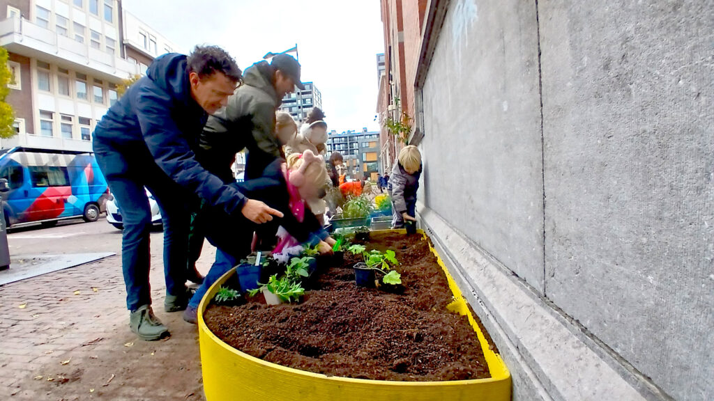 samen de straat groen maken
geveltuinen
muurflocci